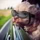 thumbnail image 2 of Gafas de sol para perros pequeños, gafas UV para mascotas, gafas de viento y nieve para perros, color negro brillante ER, 2 of 5