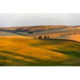 thumbnail image 2 of Su, Keren 14x11 Gold Ornate Wood Framed with Double Matting Museum Art Print Titled - Landscape of rolling wheat field at sunrise-Palouse-Washington State-USA, 2 of 4