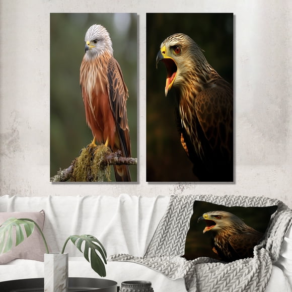 Designart "Photographie Nature Aigle Portrait I" Animaux Aigle Art Mural Ensemble de 2 - Décoration Murale Blanche pour Enfants Ensemble de 2