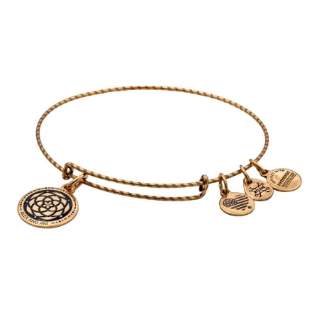 Alex and Ani New Beginnings Double Sided Embossed Charm Bangle Bracelet - Rafaelian Gold