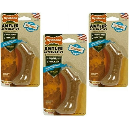 UPC: 0018214836612 | Nylabone Puppy Antler Alternative Chicken Flavored Dog Chew Toy Petite
