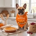 thumbnail image 7 of AYktou Fall Dog Bandanas, Thanksgiving Pet Bandana Reversible Adjustable Dog Neck Scarf, Cute Washable Pet Scarves for Halloween Holiday Parties Photography Medium Large Dogs Festive Dress Up, 7 of 7