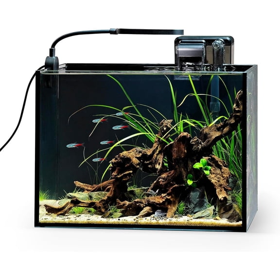 2.5 Gallon Nano Nature Aquarium Kit, Ultra-Clear Rimless Desktop Fish Tank with Light and Filter, Perfect for Small Fish, Shrimp, or Betta, Basic Version, Black