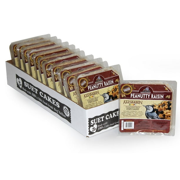 Heath Outdoor Products Wild Bird Suet Cake Peanutty Raisin Suet 12 Pack