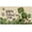 2026 Patricks Doormat 4, variant on Spring Door Mat Outdoor, Non-Slip Daisy Spring Doormat Spring Decorations for Home, Low Profile Sunshine Summer Welcome Mat Seasonal Rug Indoor Outdoor Spring Decor 17 x 30 Inch