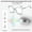 Blue, variant on Mens Glasses Full Frame Unisex Blue Light Blocking PC Glasses Anti Radiation Anti Fatigue Eyewear for Computer Gaming