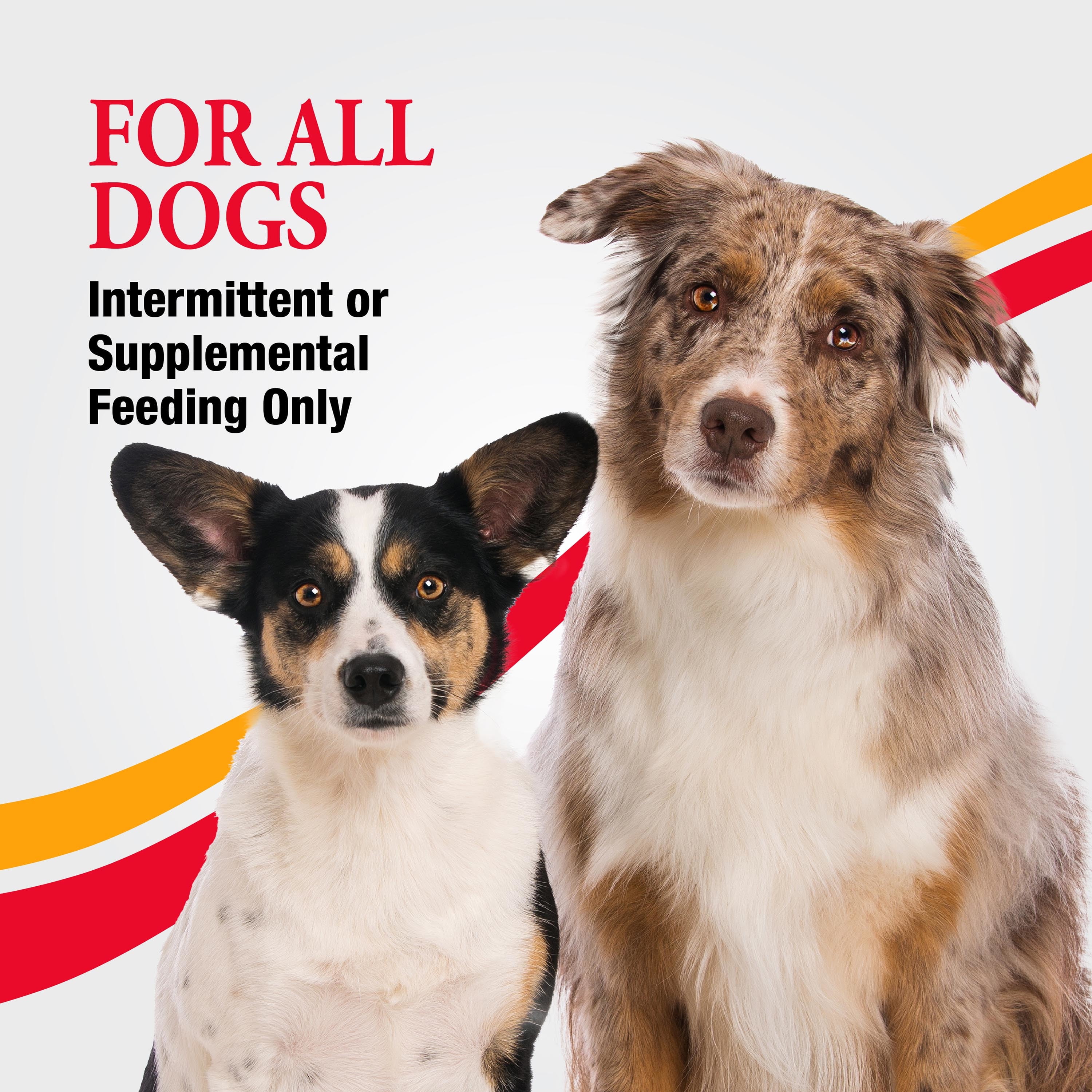 Good ‘n’ Fun Triple Flavor Munchy Sticks Chews for Dogs, Snack for All Dogs Made with Beef Hide, Chicken and Pork Hide, 10 Count