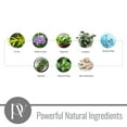 thumbnail image 3 of Pavelle Room Spray, Eucalyptus Essential Oil Air Freshener – Garden Mist, 3 of 8
