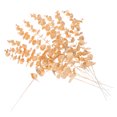 thumbnail image 2 of WEUVEB Eucalyptus Centerpiece Golden Eucalyptus Plants Home Decor 10Set, 2 of 8