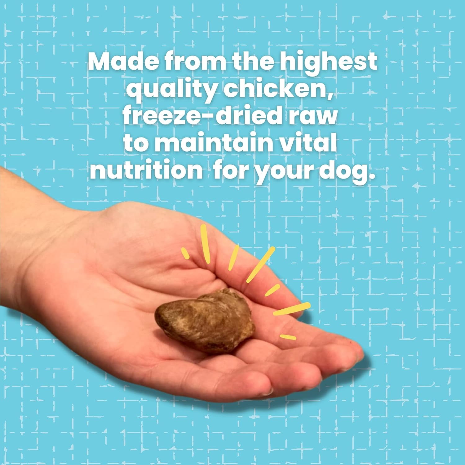 HotSpot Pets Freeze Dried Chicken Hearts for Cats & Dogs - 1LB Bag - All Natural Grain-Free - Made in USA