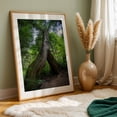 thumbnail image 5 of Looming Portal - Corbett Oregon Photography Forest Nature Wilderness Woodland Scenic Landscape Oak Framed Wall Art Print 12 x 18 inches, 5 of 59