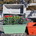 thumbnail image 5 of Large Plastic Rectangular Planter, Vegetable Sprouting Tray with Lid, Reusable for Home Gardening, Seed Germination, Hydroponics (Vermilion), 5 of 6