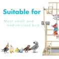 thumbnail image 4 of Parrot Playground Large 4 Layers - Small Bird Playground Parakeet Bird Play Stand Bird Gym Parrot playpen Play  Parrot Playstand Parrot tree for Cockatiel Lovebirds Conure Cockatoos Finch Budgies, 4 of 8