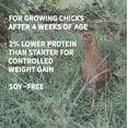 thumbnail image 5 of New Country Organics - Chicken Grower Feed - for Growing Broilers, Pullets and Cockerels - Soy-Free - 19% Protein - Certified Organic & Non-GMO - 25 Lbs, 5 of 9