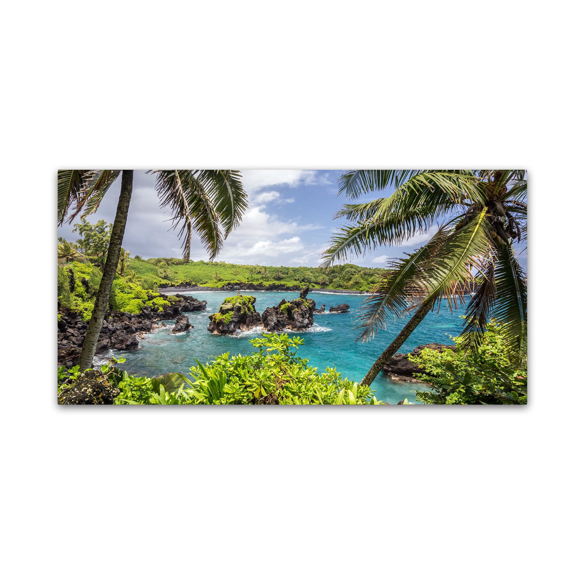 Trademark Fine Art 'Tropical Paradise Maui' Canvas Art by Pierre Leclerc