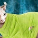 thumbnail image 2 of KAKOWELY Ropa para gatos Sphynx, ropa de invierno para gatos, abrigo grueso para mascotas, ropa para gatos M, 2 of 4