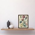 thumbnail image 2 of Ernst Haeckel Style Vintage Botanical Plant Study Modern Watercolour Painting Illustration Artwork Framed Wall Art Print A4, 2 of 4