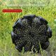 thumbnail image 5 of Artifact Net Cage Fishing Net Tackle Cage Folding Fish Basket, 5 of 5