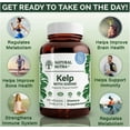thumbnail image 3 of Natural Nutra Sea Kelp Iodine Supplement for Thyroid Support and Immune System- 100 Tablets, 3 of 7