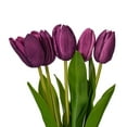 thumbnail image 2 of 16"H Plum Tulip Bundle of 5 2/Bag, 2 of 2