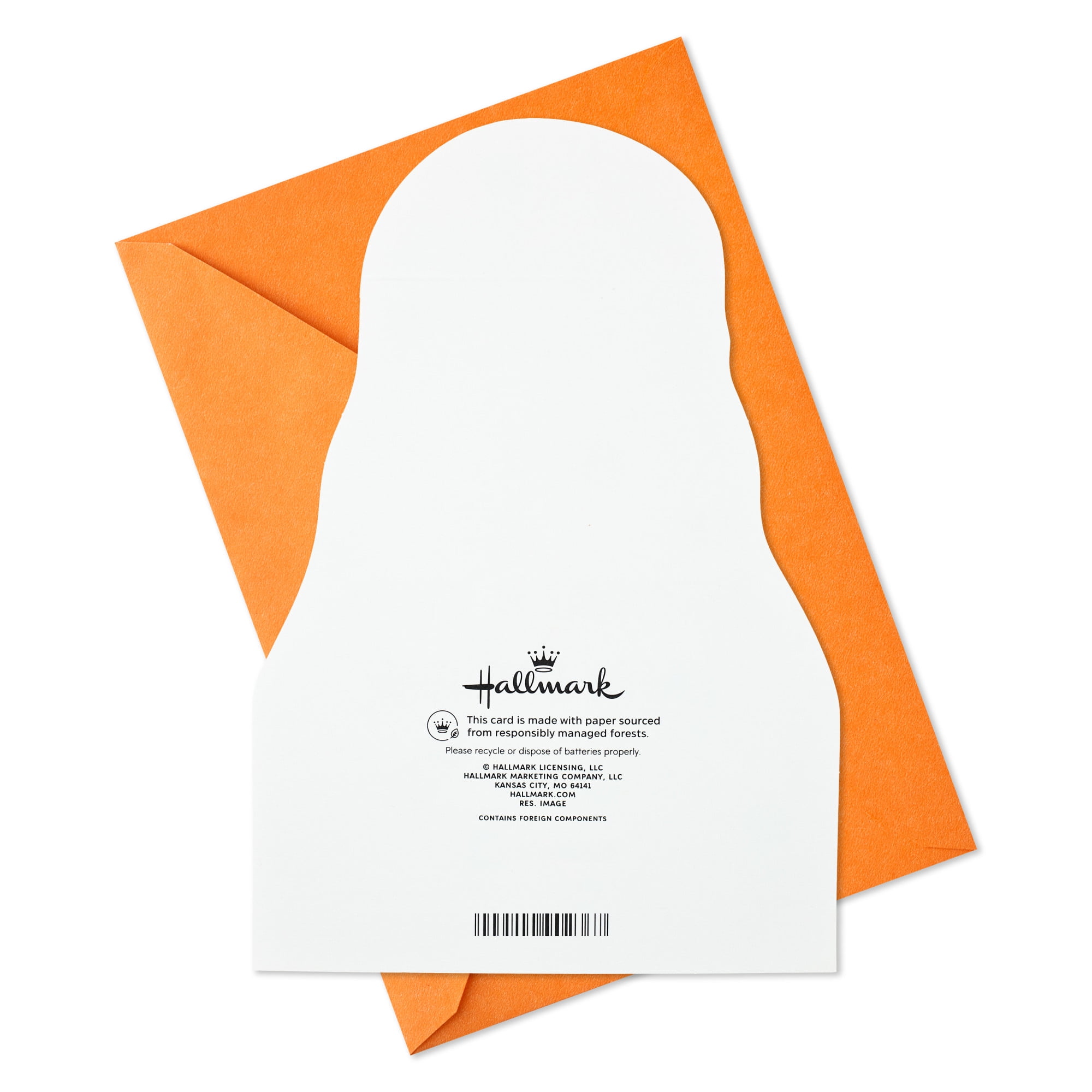 Hallmark Funny Musical Birthday Card with Sound (Impossible to Ignore)