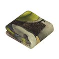 Shrek Get Out Of My Swamp Flannel Blanket Soft Lightweight Plush Fuzzy