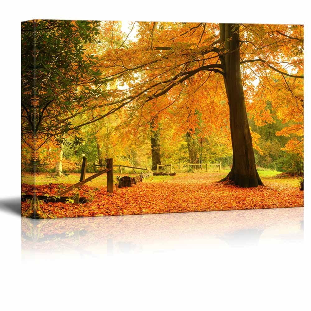 Canvas Prints Wall Art - Beautiful Yellow Autumn/Fall Forest Scene with ...