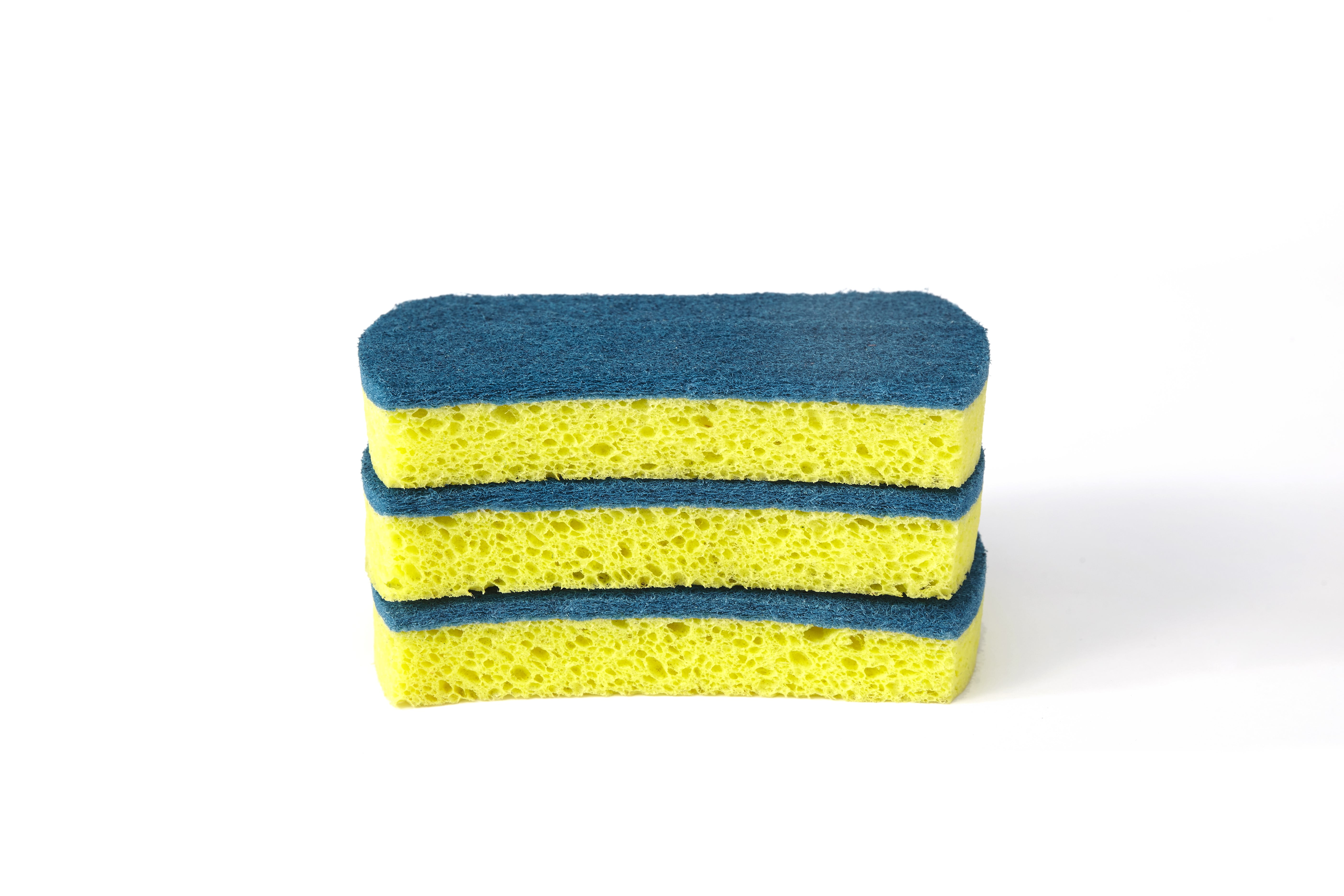 Full Circle Refresh Kitchen Dish Sponge Set