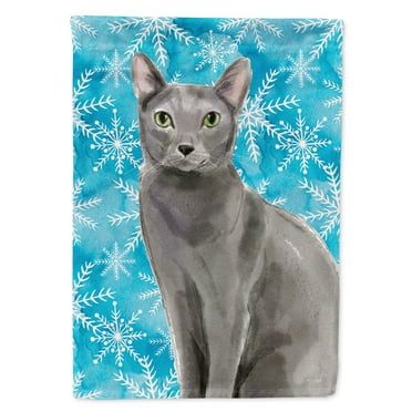Carolines Treasures CK3106CHF Blue Russian Winter Snowflake Flag Canvas House Size  Large multicolor