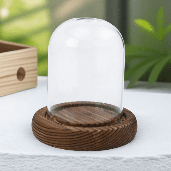 HAMPPLIES Glass Cloche Dome Candle Holder with Wooden Base, Transparent Decorative Cover for Candle Display and Storage