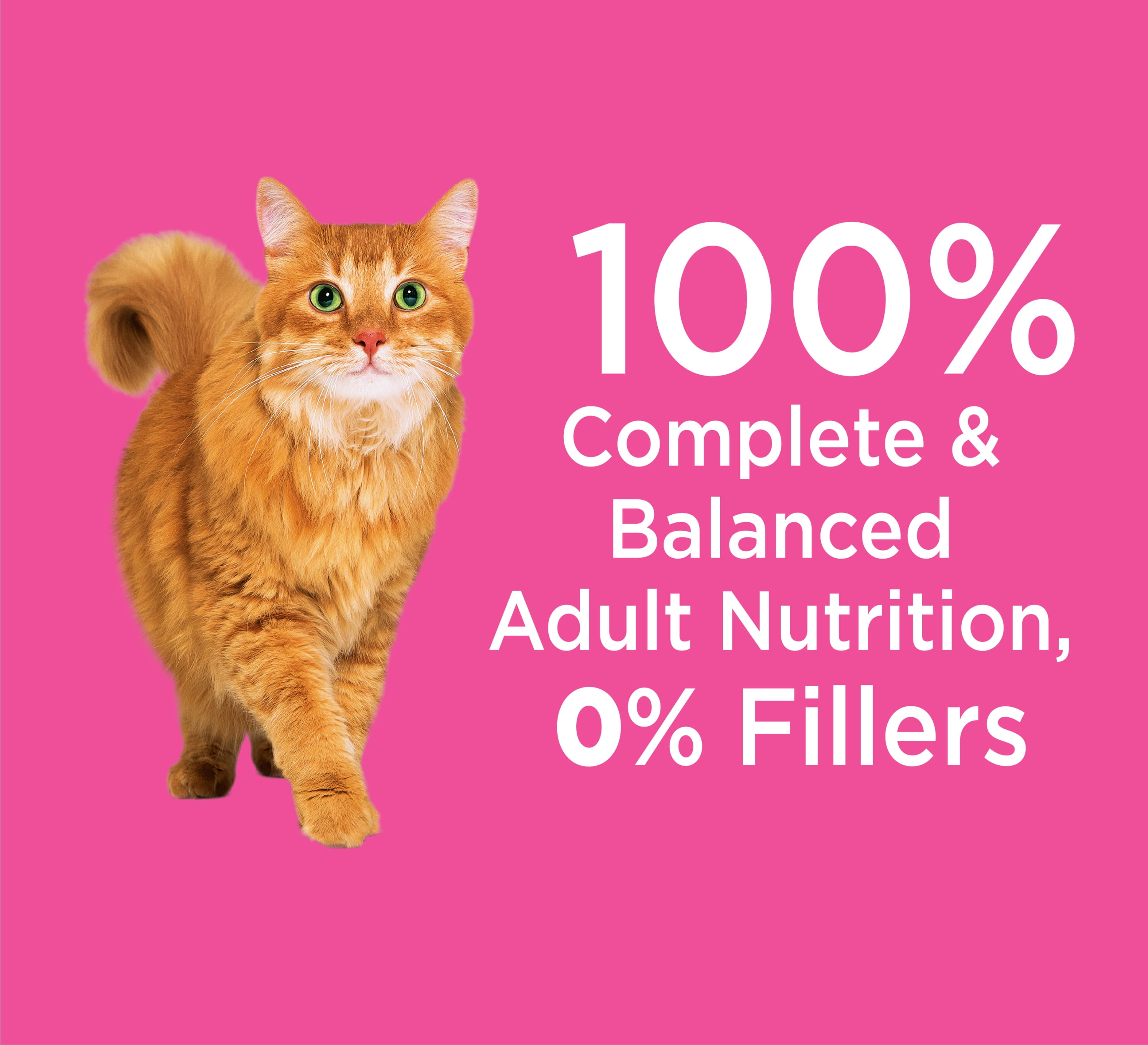 Iams sensitive stomach cat food outlet walmart