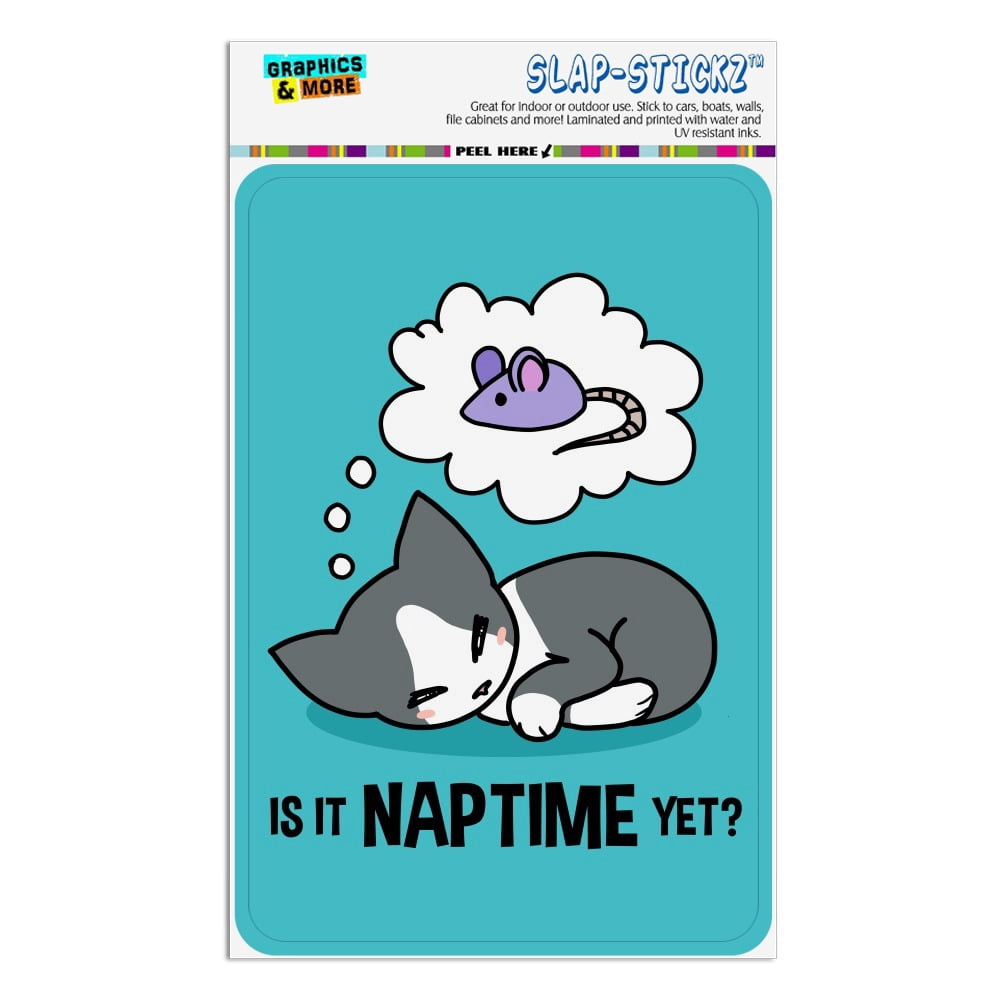 Is It Cat Naptime Yet? Dreaming Home Business Office Sign - Walmart.com