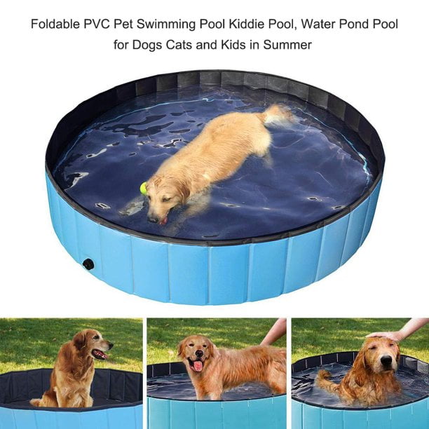 hard plastic paddling pool for dogs