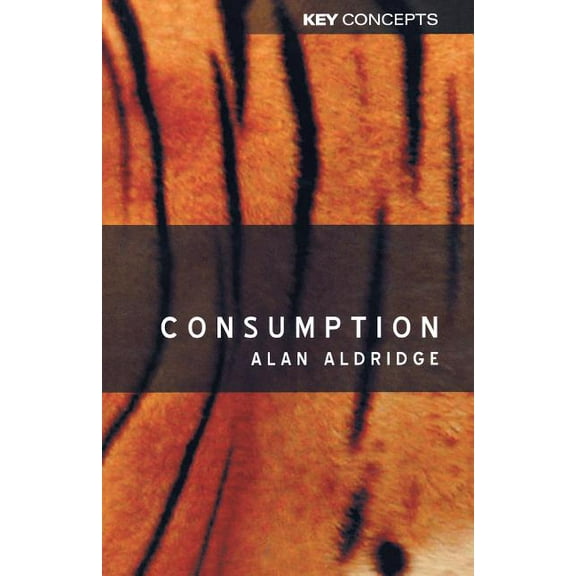 Key Concepts: Consumption (Paperback)