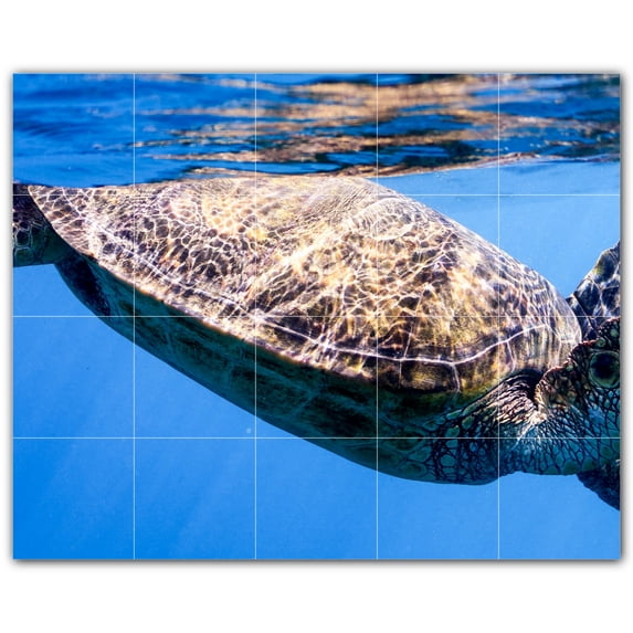 Picture-Tiles.com: Turtle Ceramic Tile Wall Mural WAL501082-54L. 40"W x 32"H using (20) 8" x 8" Ceramic Tiles-Satin Finish
