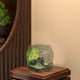 thumbnail image 5 of Clear Plastic Fish Tank | Small Desktop Aquarium | Wear Resistant Drop Resistant Compact Design | Transparent Easy Clean Mini Aquatic Container | 19x19x16.6cm, 5 of 6