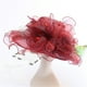 thumbnail image 2 of Sombreros Tocado para mujer Sombrero para boda Kentucky Tea Party Sombrero para mujer, 2 of 2