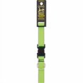 thumbnail image 2 of Collier pour Chien Westminster Pet ruffin It Reflectech 20 Pouces - Moyen, 2 of 4