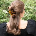 thumbnail image 4 of Homoyoyo Leopard Butterfly Hair Accessories Claw Clips for Updo and Bun Stylish Hair Clips, 4 of 6