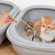 thumbnail image 3 of Pala para arena de gatos de acero inoxidable, pala para arena de gatos, pala para arena de mascotas con mango de madera, 3 of 8
