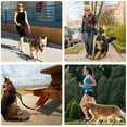 thumbnail image 4 of yingyy Reflective Pet Walking Leash Running Jogging Biking Animal Adjustable Elastic Band Bungee Rope Reusable Portable Red, 4 of 6