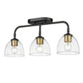 thumbnail image 1 of Golden Lighting  Roxie 3 Light Semi-Flush in Matte Black, 1 of 4