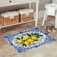 thumbnail image 2 of FJPT Non Slip Flannel Polyester Floor Mat Lemon Pattern Blue Floral Design For Bathroom Kitchen Bedroom Decor 16x24 inch, 2 of 5