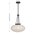 thumbnail image 5 of Willow 1-Light Pendant in Matte Black, 5 of 5