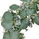 thumbnail image 3 of Guirnalda Artificial Guirnalda De Hojas Verdes Falsas Decoración De Pared Para Dormitorio Sala De Estar Jardín Boda sonducket HA036682-00, 3 of 6