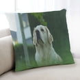 thumbnail image 1 of Ahgly Company Dogs Golden Retriever Indoor Throw Pillow, 18 inch by 18 inch, 1 of 6