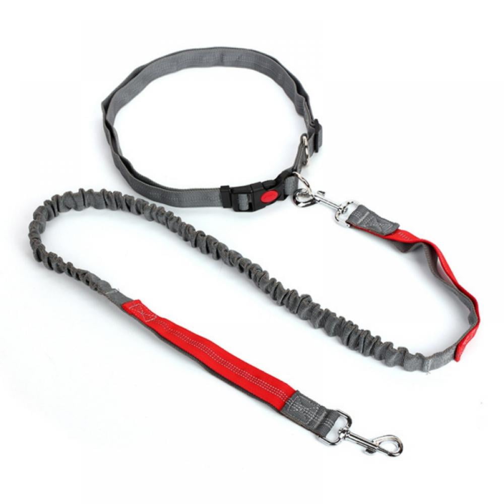 hands free dog leash walmart