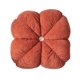 thumbnail image 1 of Alfombra de Piso para Silla de Oficina Terciopelo Otomano Alfombra de Piso 35 cm/13.78 en Color Silla Correa de Cojín Accesorio Al Aire Libre, 1 of 6