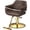 2-Brown, variant on UBesGoo Barber Chair, 360° Swivel Salon Styling Chair, Heavy Duty Hydraulic Pump, Black Gold Home Beauty Spa Equipment