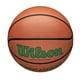 Wilson Evolution Officiel Taille Jeu Basket-Green – image 2 sur 5